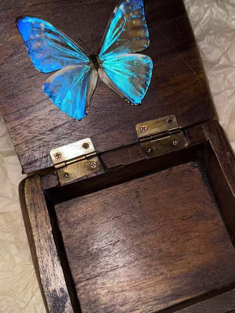 Handmade Blue Morpho Butterfly Necklace Pendant