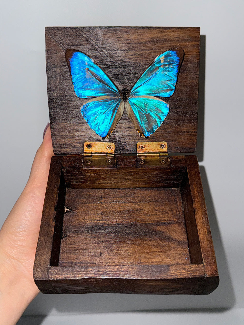 Handmade Blue Morpho Butterfly Necklace Pendant