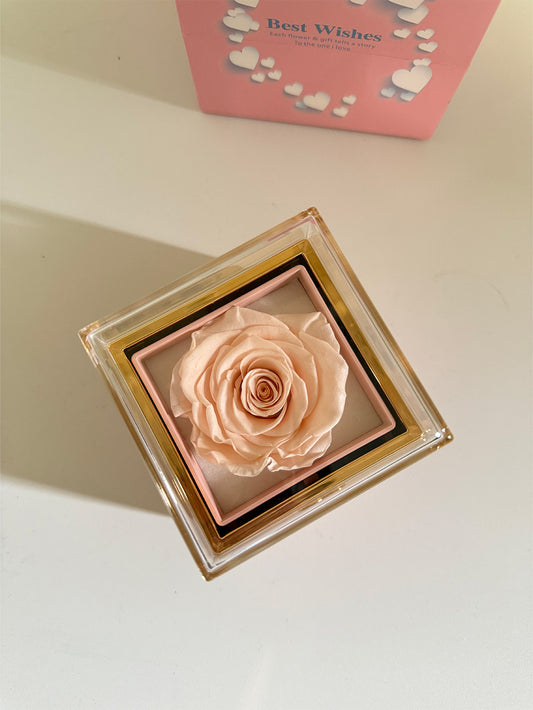 Flip-open ring box |Surprise box |Creative jewelry box |Reversible necklace box